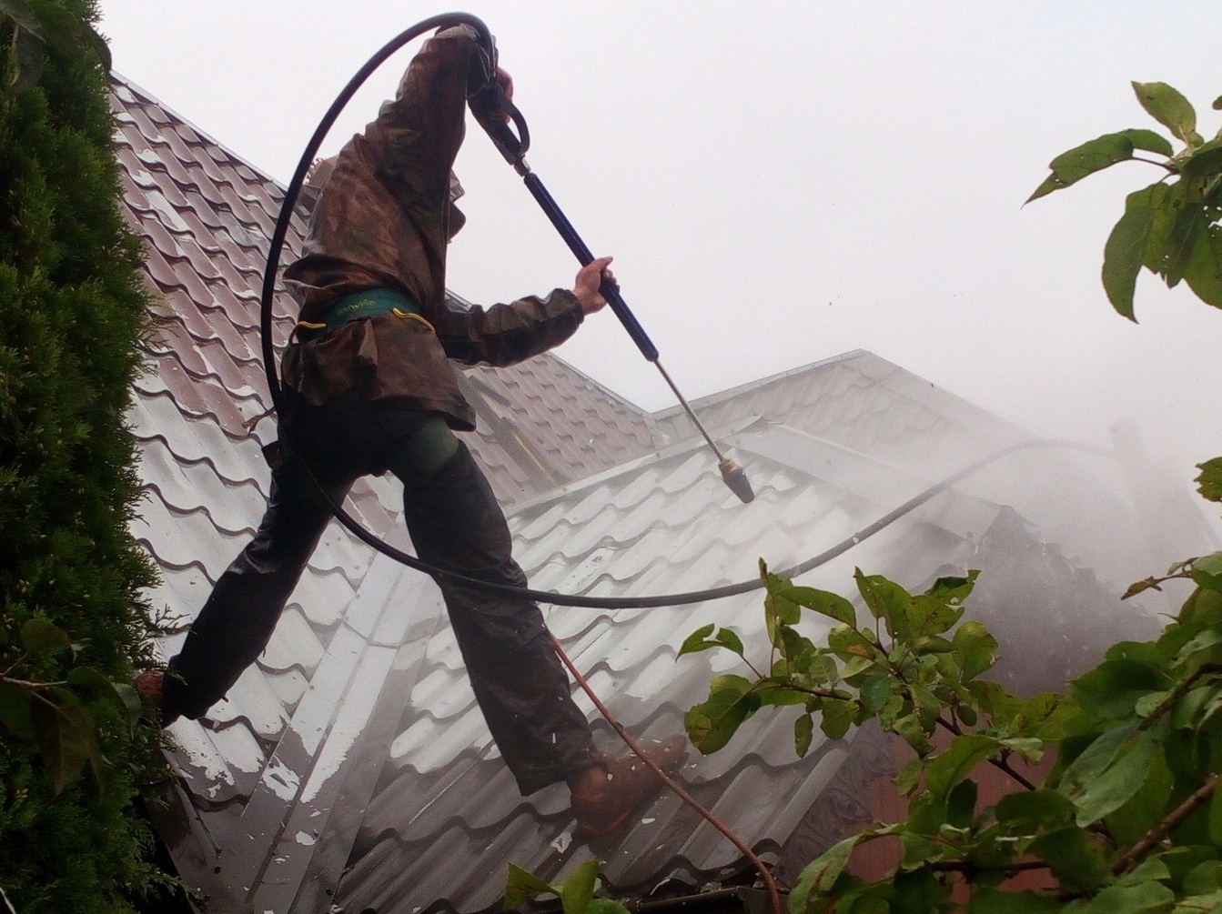 Описание изображения